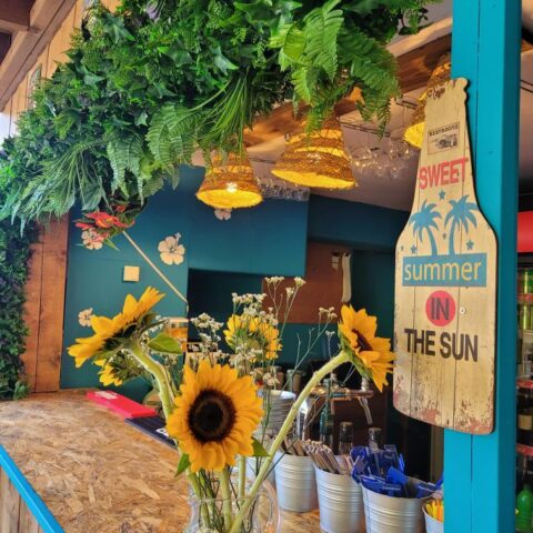 Le Bar Camping Les Cigales Pézenas